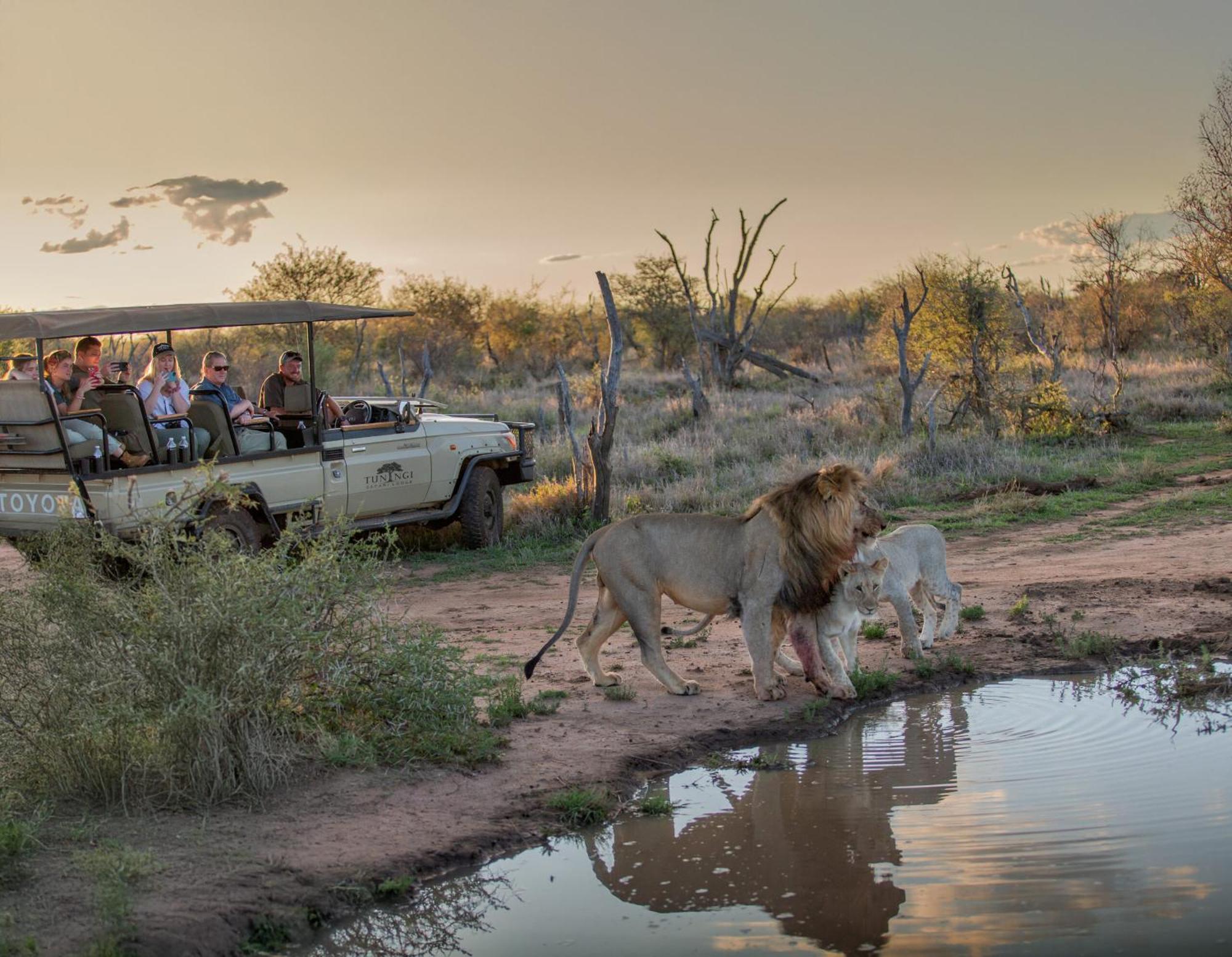 Tuningi Safari Lodge Madikwe Game Reserve Exterior photo