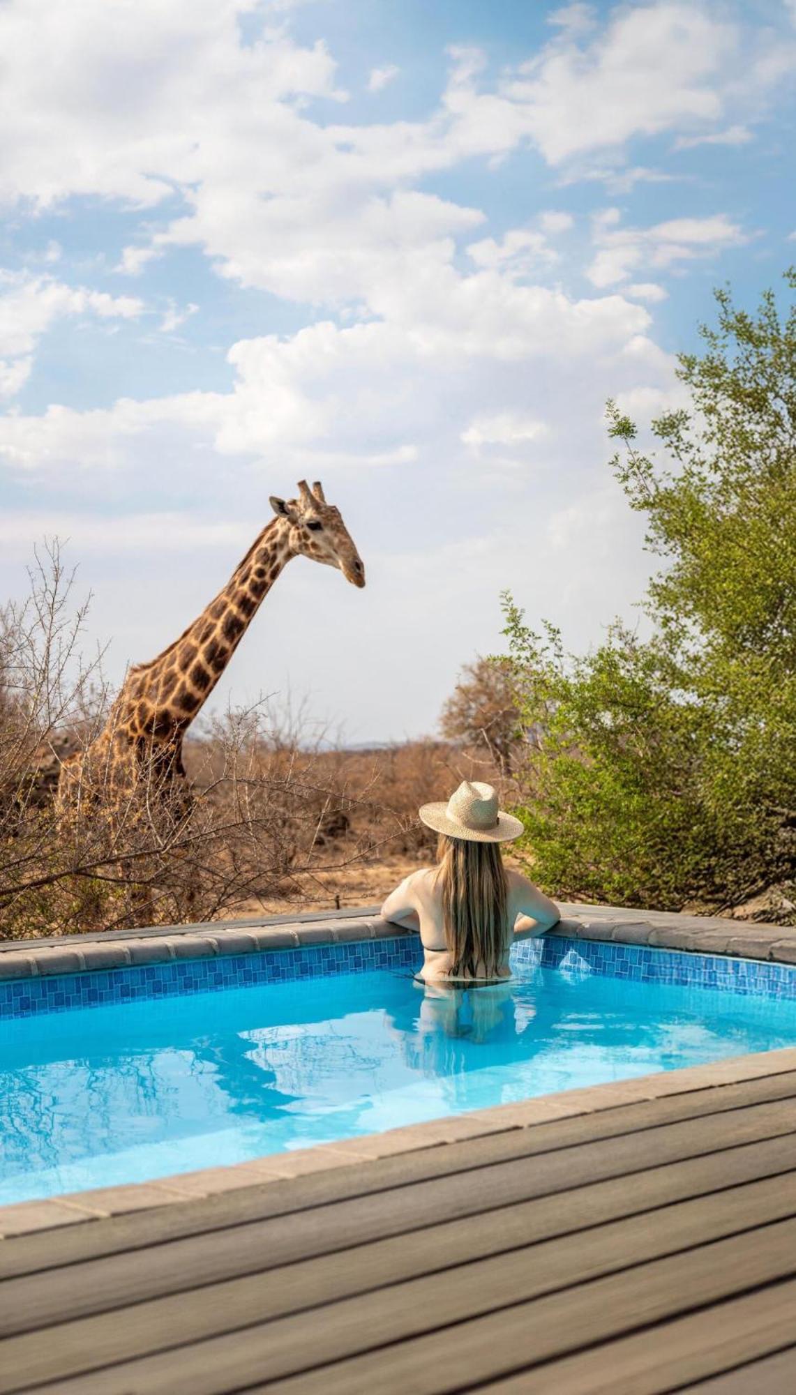 Tuningi Safari Lodge Madikwe Game Reserve Exterior photo